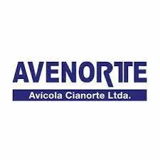 Avenorte